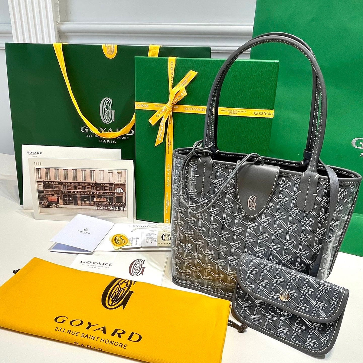 Bags- Goya Mini Anjou Bag Luxury Designer Leather Handbag