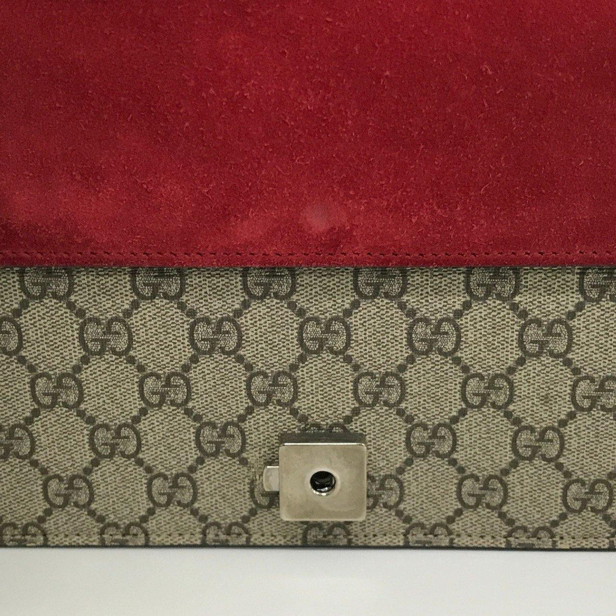Dionysus premium bags detail and craftsmanship close-up