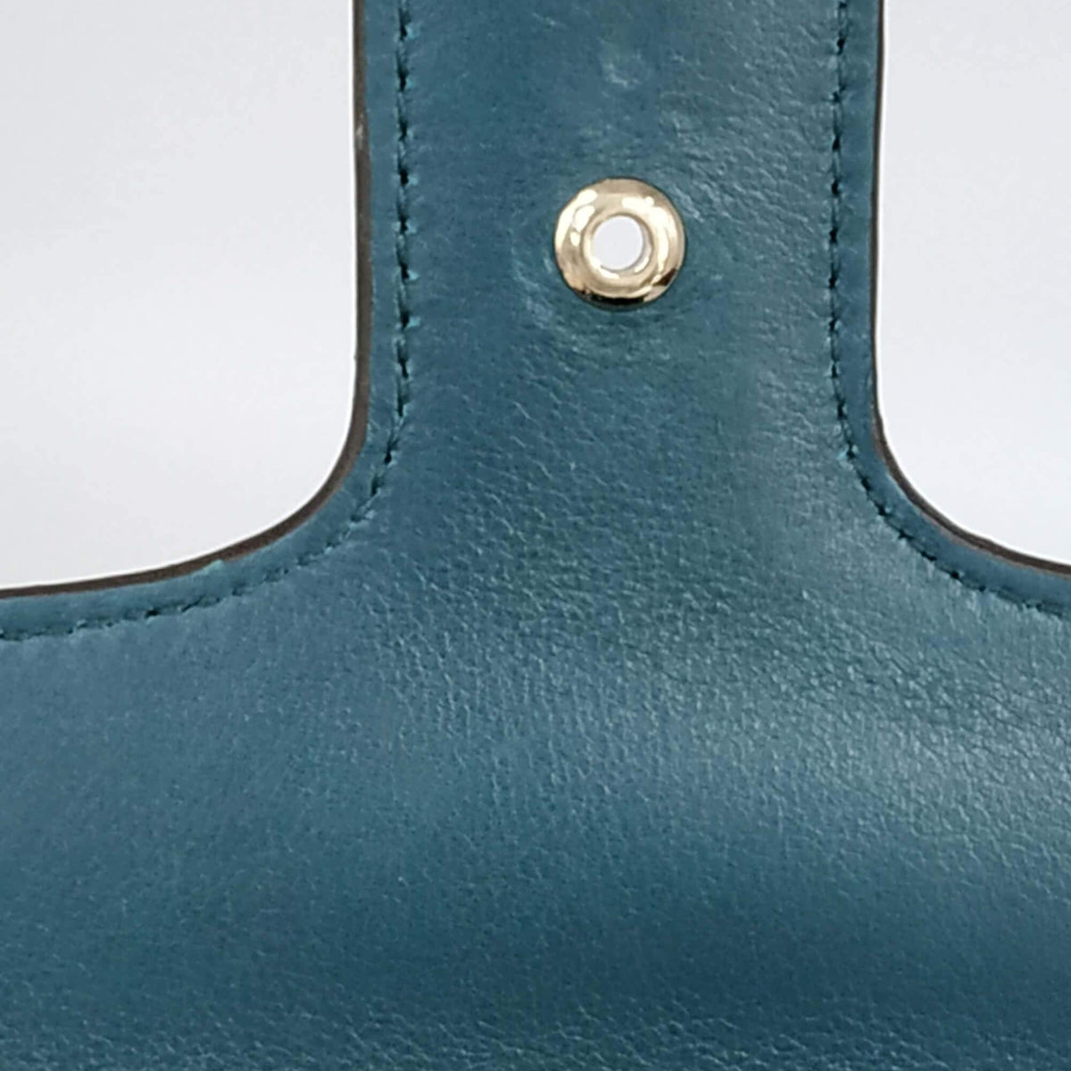 Lizard bags side profile designer luxury fashion