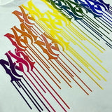 Amiri designer t-shirt full view