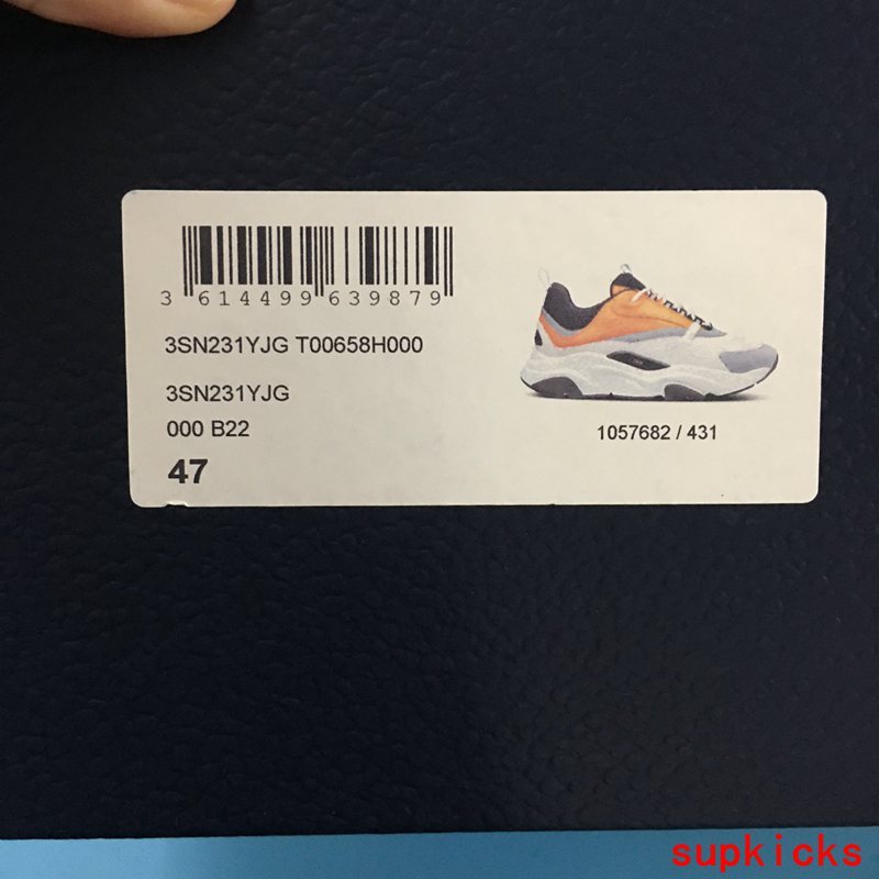 Dior shoes Style 059 - packaging and accessories (alternate angle)