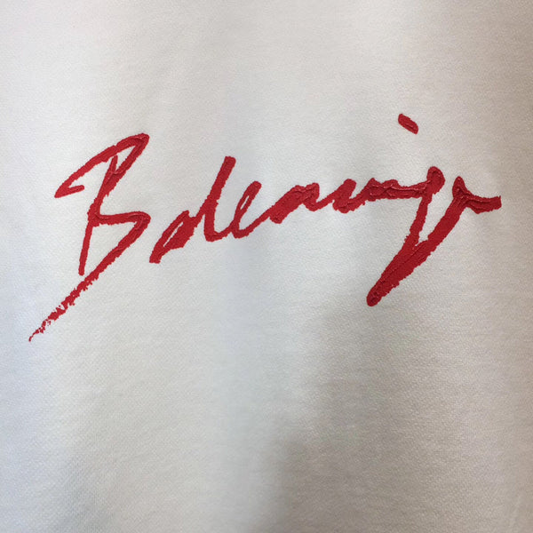 Balenciaga designer designer clothing full view