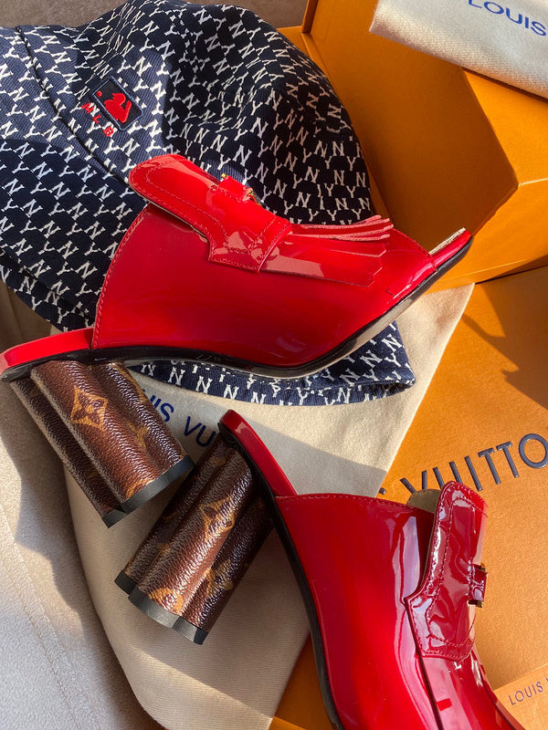Louis Vuitton designer shoes full view