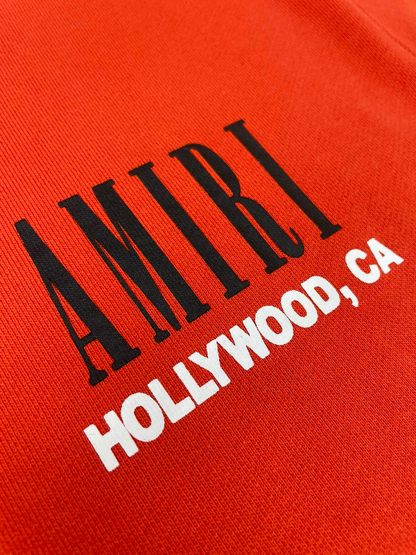Amiri designer hoodie full view