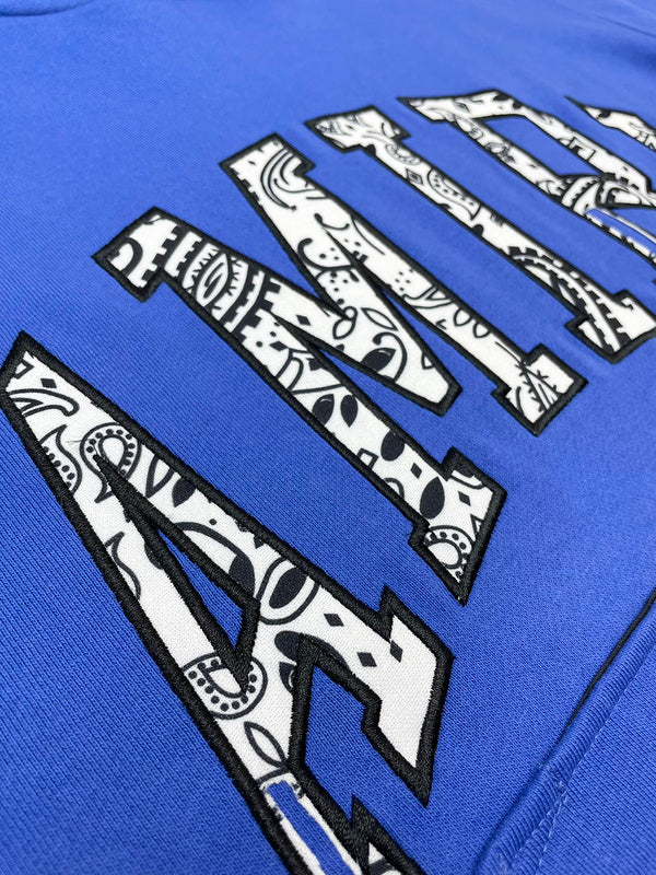 Amiri hoodie front view designer style