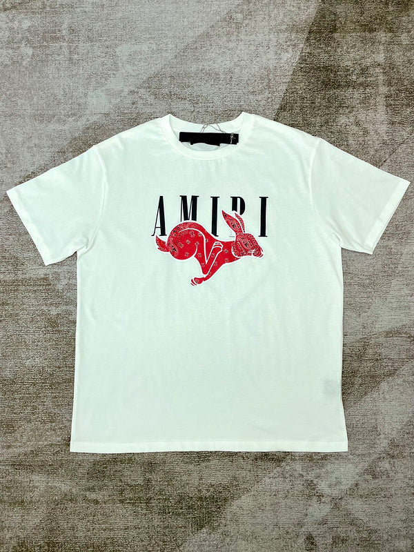 Amiri t-shirt front view designer style