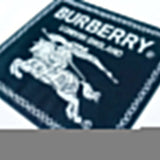 Burberry designer t-shirt full view