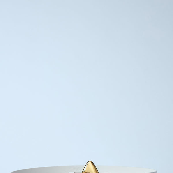 Bottega Veneta belts side profile designer luxury fashion