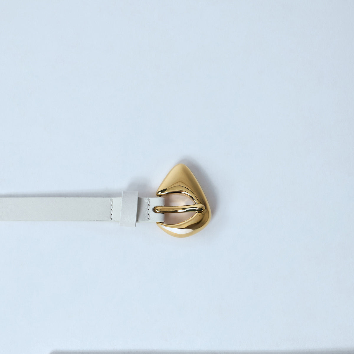 Close-up of Bottega Veneta belts hardware and fine stitching