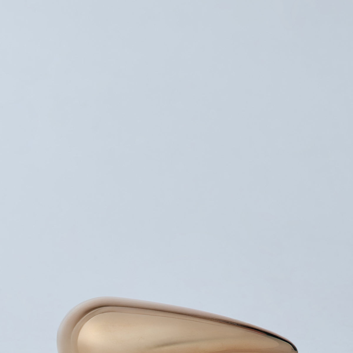 Bottega Veneta miscellaneous luxury designer piece front view