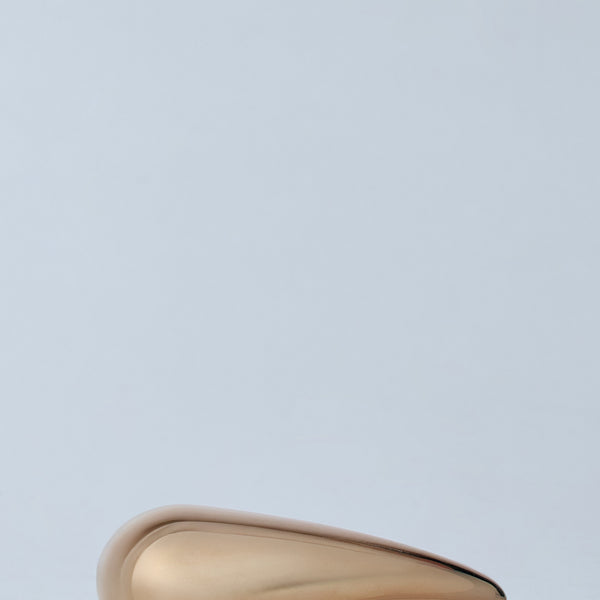 Bottega Veneta Accessories? Bottega Veneta Women Drop Hair Clip Luxury Designer Fashion Accessory