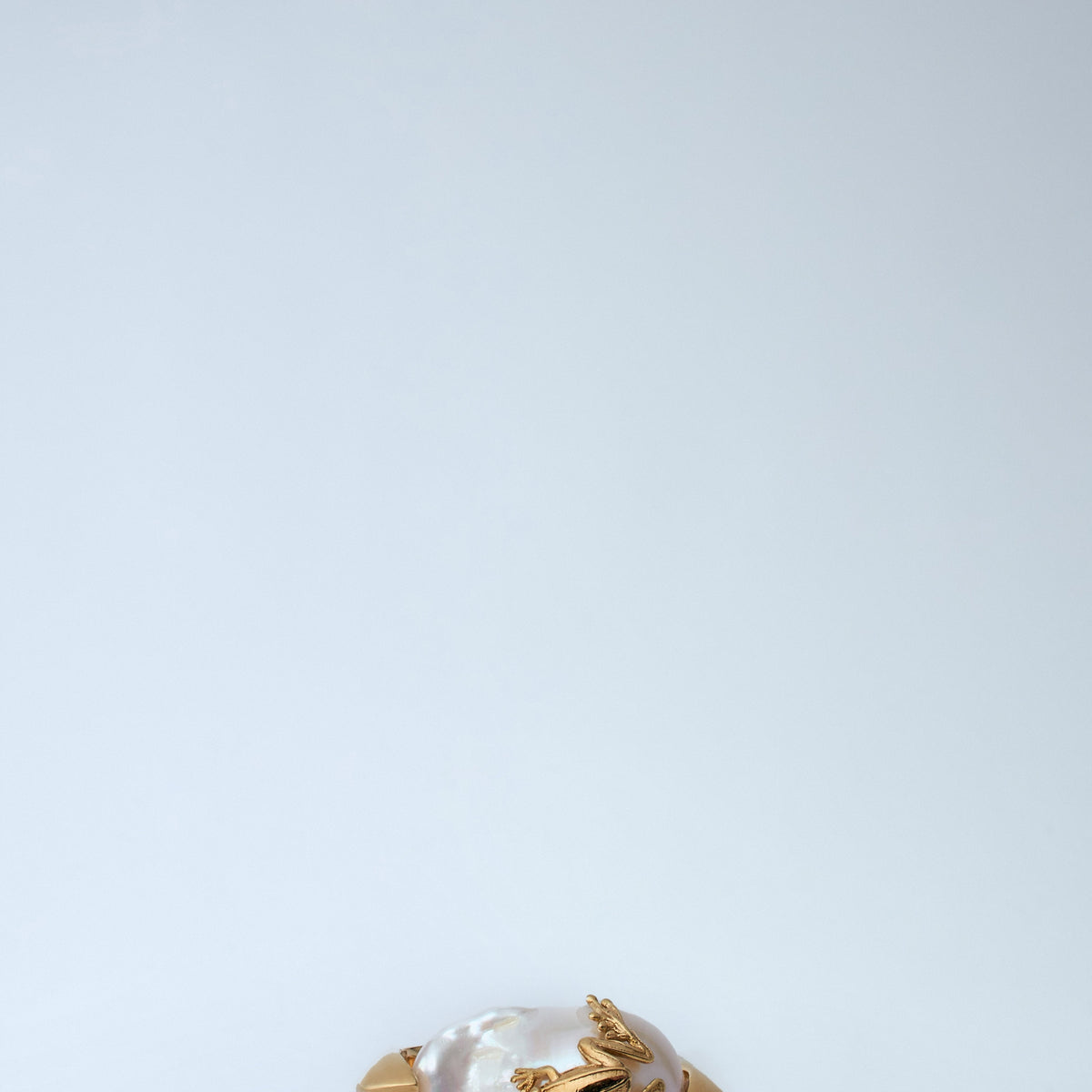 Bottega Veneta miscellaneous luxury designer piece front view