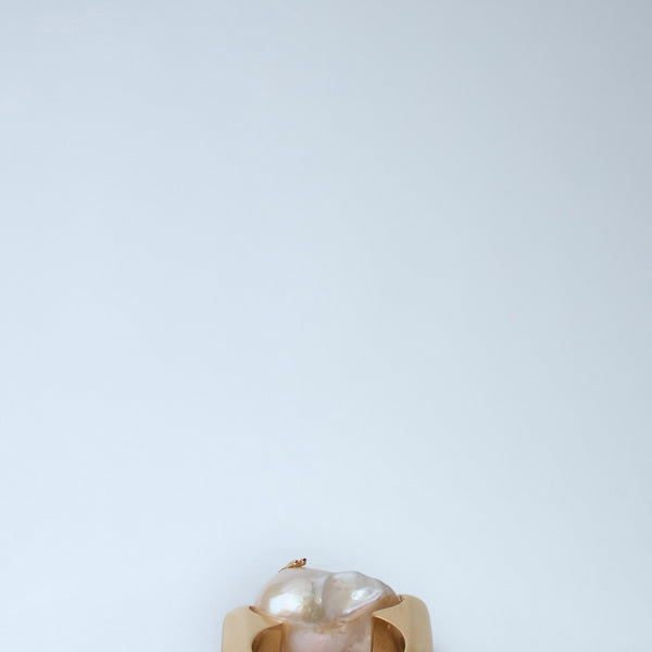 Bottega Veneta miscellaneous side profile designer luxury fashion