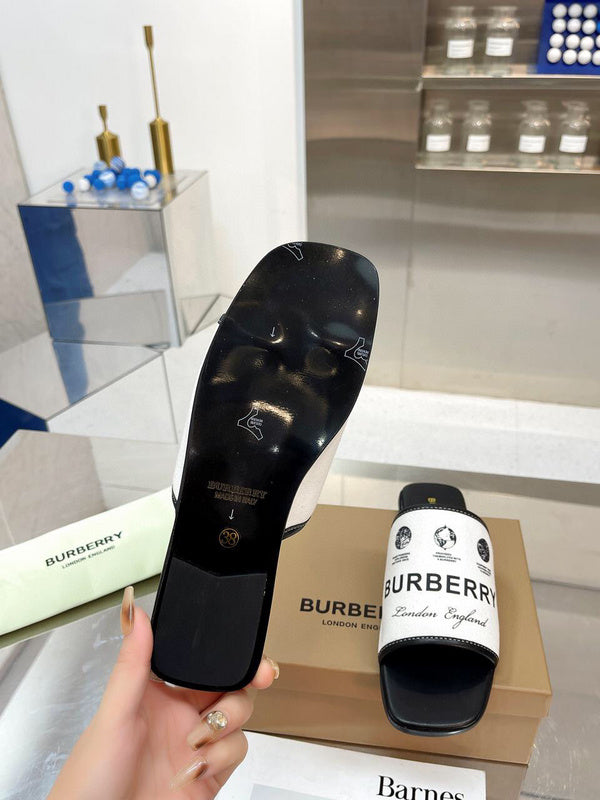 Burberry shoes Style 038 - packaging and accessories
