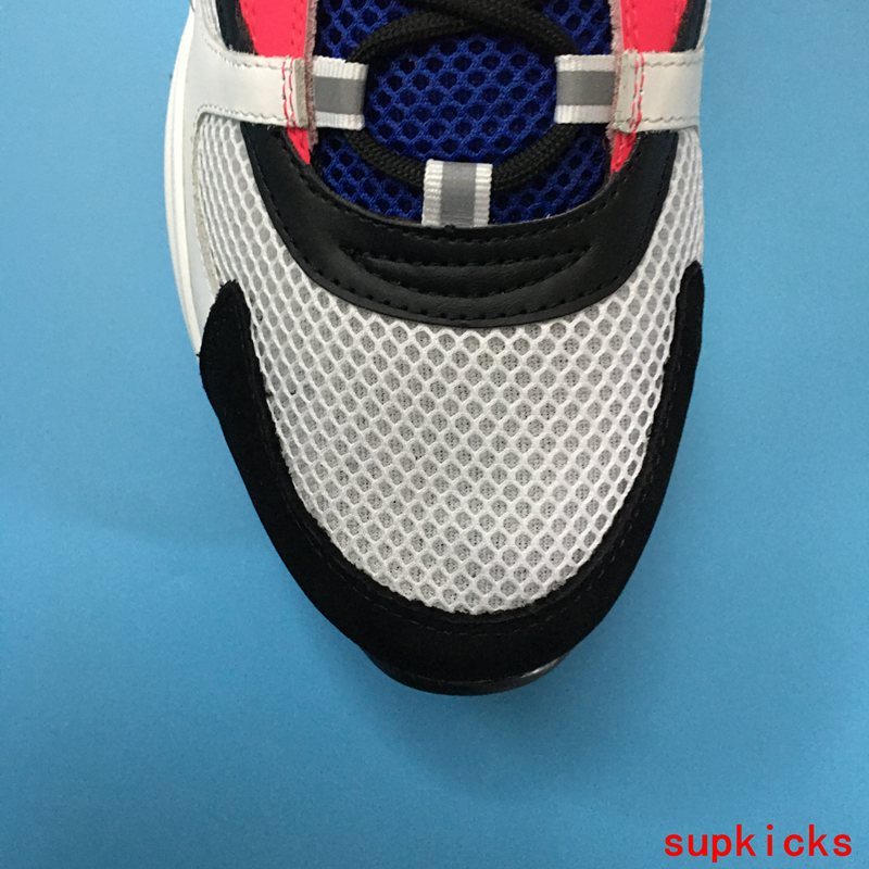 Dior Grey Low-Top Sneakers - Toe Detail View