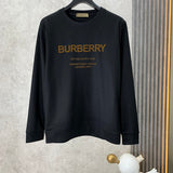 Burberry designer clothing front view designer style