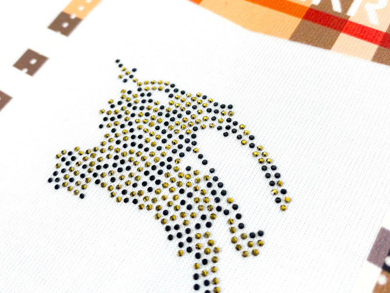 Burberry t-shirt front view designer style