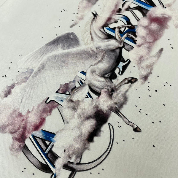 Amiri t-shirt styled look premium fashion