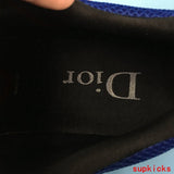 Dior Grey Low-Top Sneakers - Front View