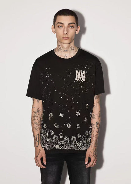 Amiri luxury t-shirt detail shot