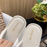 Balenciaga Grey Flat Thong Sandals - Close-Up Texture View