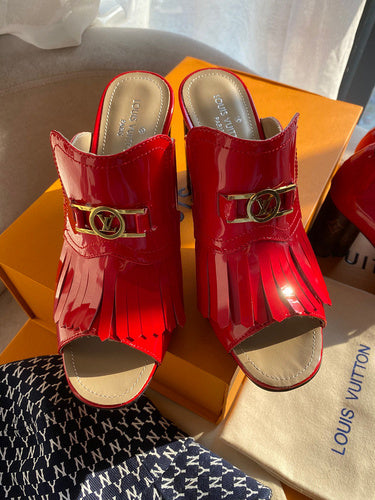 Louis Vuitton shoes front view designer style