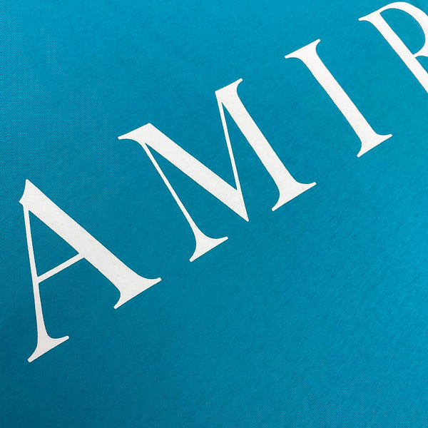 Amiri designer t-shirt full view