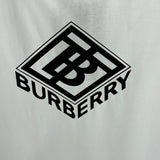 Burberry t-shirt styled look premium fashion