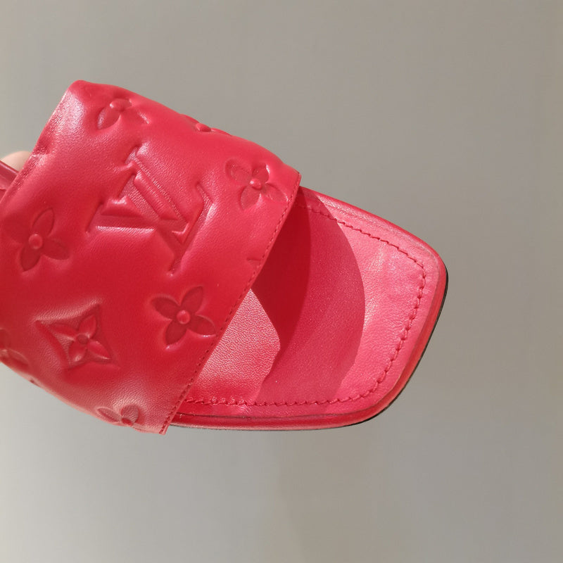 Louis Vuitton shoes Style 227 - packaging and accessories
