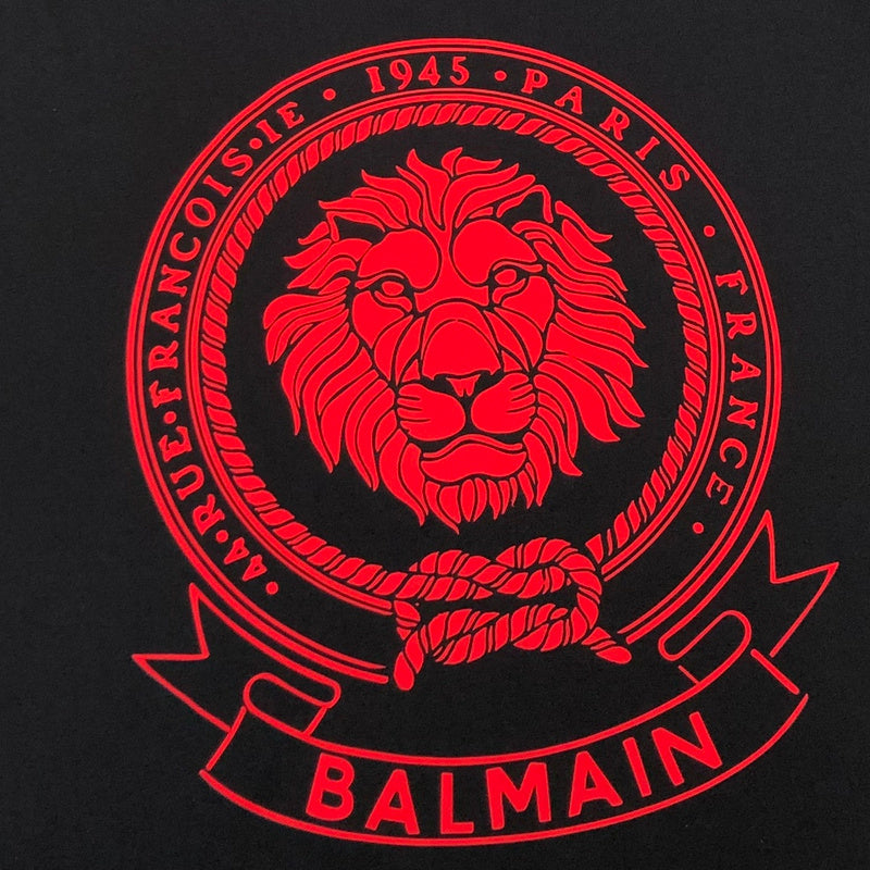 Styling view of Balmain luxury piece style No.110
