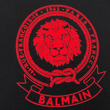 Balmain designer clothing styled look premium fashion