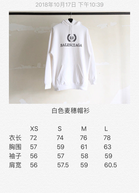 Styling view of Balenciaga luxury piece style No.303