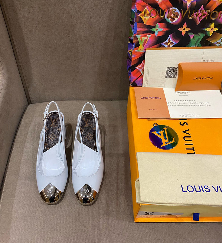 Louis Vuitton shoes Style 201 - packaging and accessories