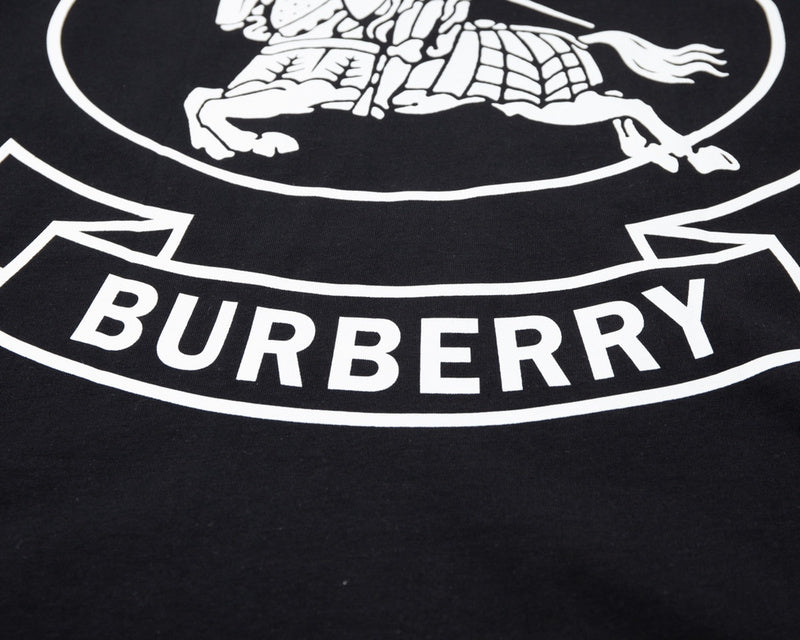 Burberry t-shirt styled look premium fashion