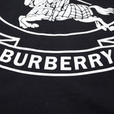 Burberry t-shirt styled look premium fashion