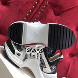 Louis Vuitton shoes Style 190 - packaging and accessories