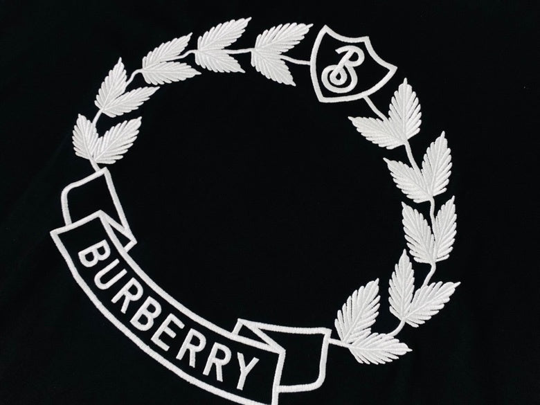 Burberry t-shirt front view designer style
