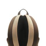 Fendi bags luxury designer piece front view