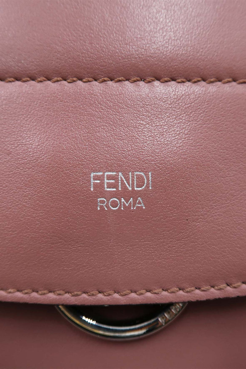 Close-up of Mini bags hardware and fine stitching