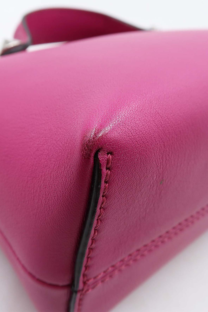 Close-up of Mini bags hardware and fine stitching