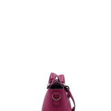 Close-up of Mini bags hardware and fine stitching