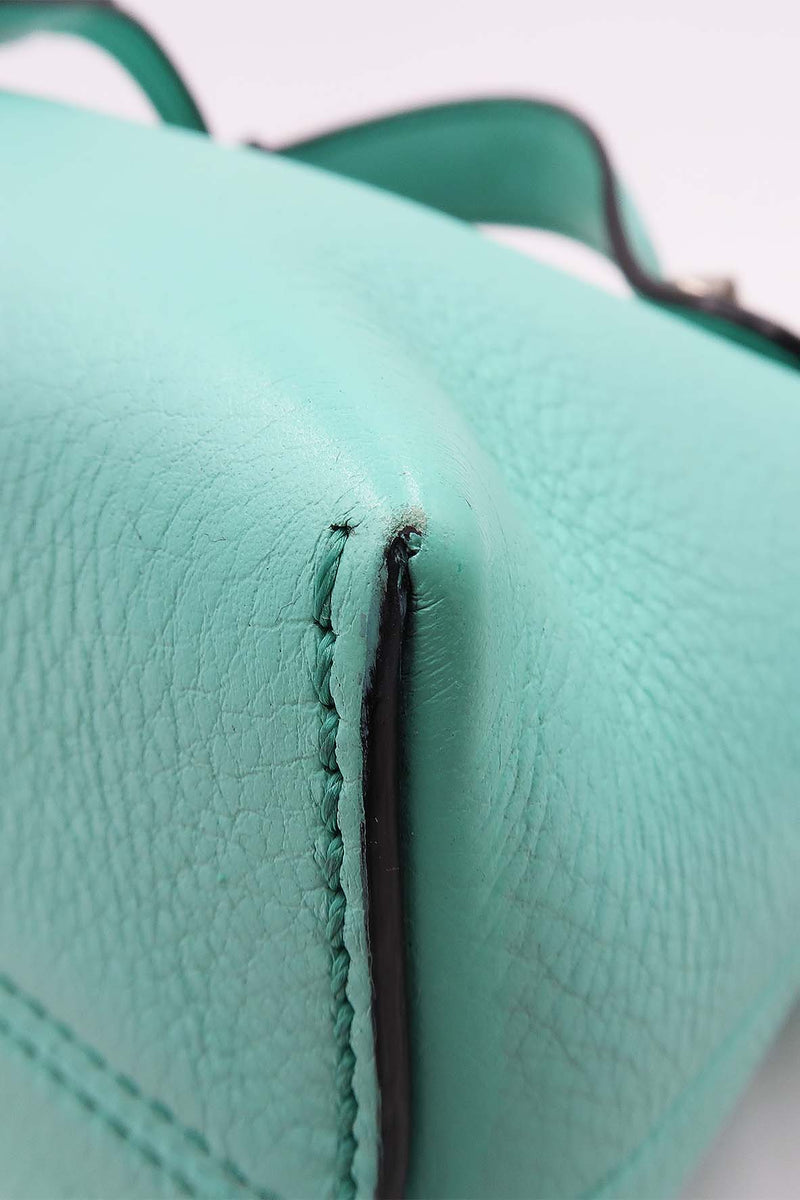Close-up of Mini bags hardware and fine stitching