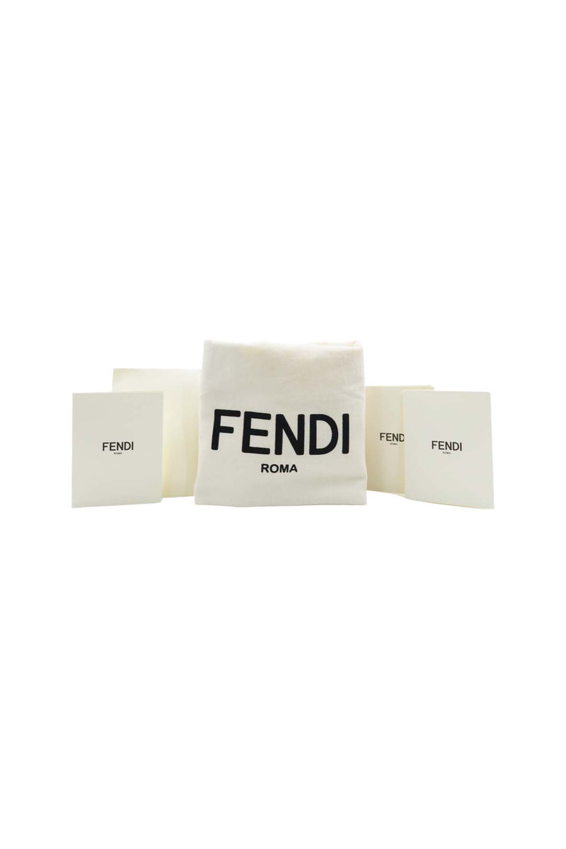 Close-up of Mini bags hardware and fine stitching