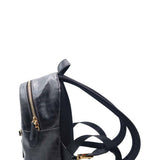 Close-up of Mini bags hardware and fine stitching