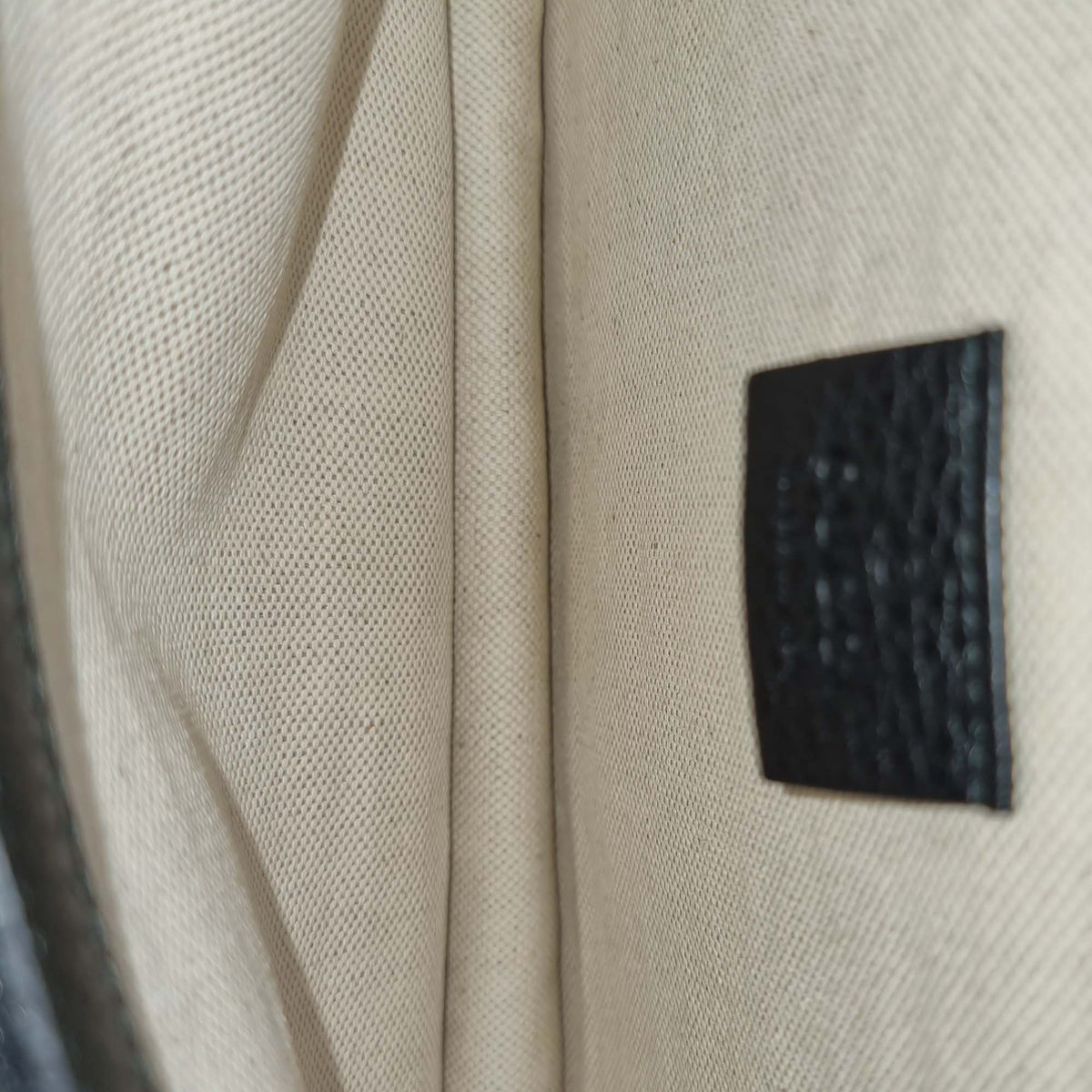 Close-up of Dionysus bags hardware and fine stitching