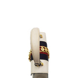 Close-up of Mini bags hardware and fine stitching