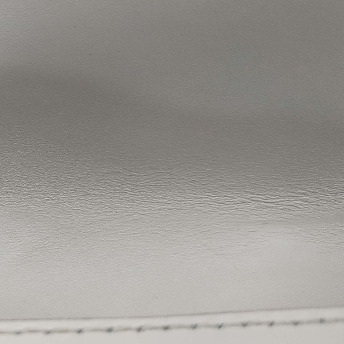 Close-up of Mini bags hardware and fine stitching