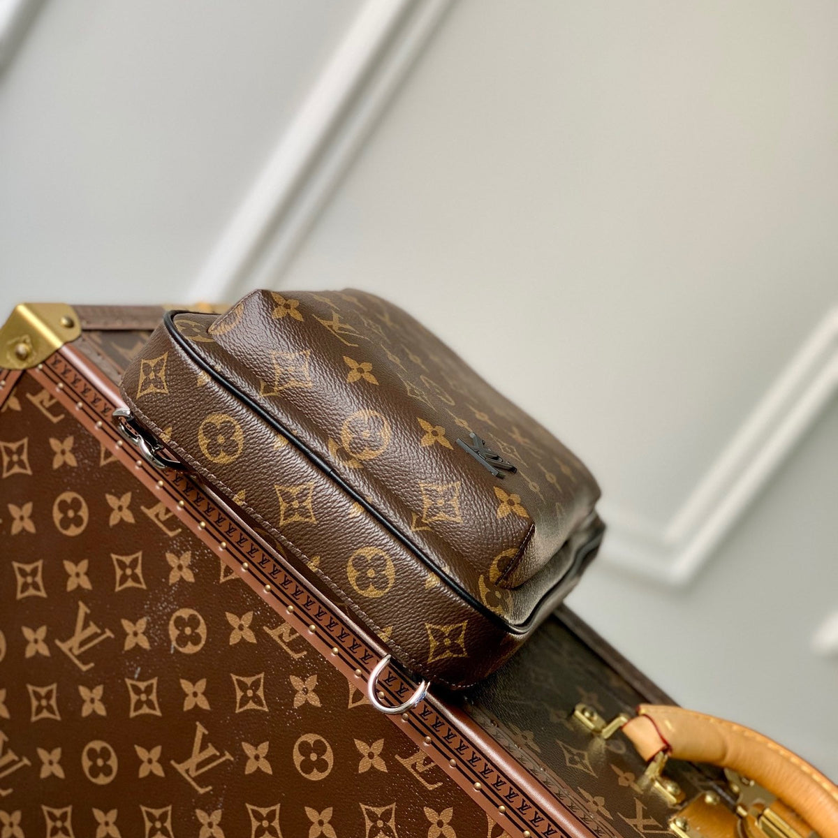 Louis Vuitton Wallets? Louis Vuitton Lou Avenue Slingbag Compact Luxury Card Wallet