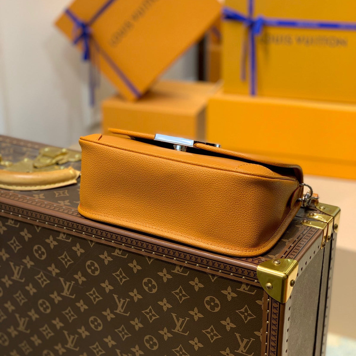 Louis Vuitton Wallets? Louis Vuitton Lou Buci Bag Elegant Everyday Leather Wallet
