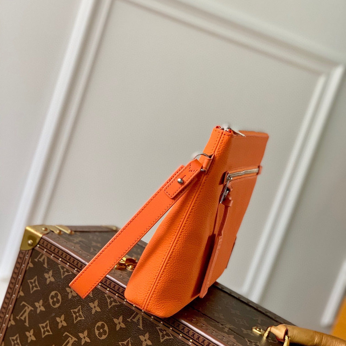 Louis Vuitton Bags? Louis Vuitton Lou Takeoff Pouch Elegant Everyday Designer Handbag